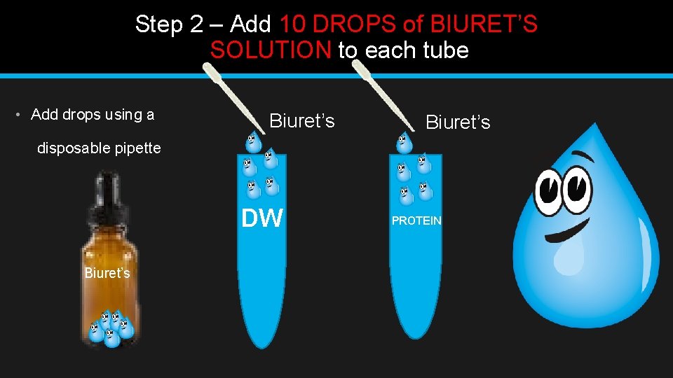 Step 2 – Add 10 DROPS of BIURET’S SOLUTION to each tube • Add