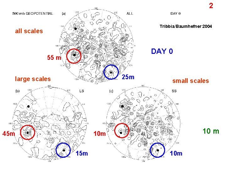 2 Tribbia/Baumhefner 2004 all scales DAY 0 55 m 25 m large scales 45