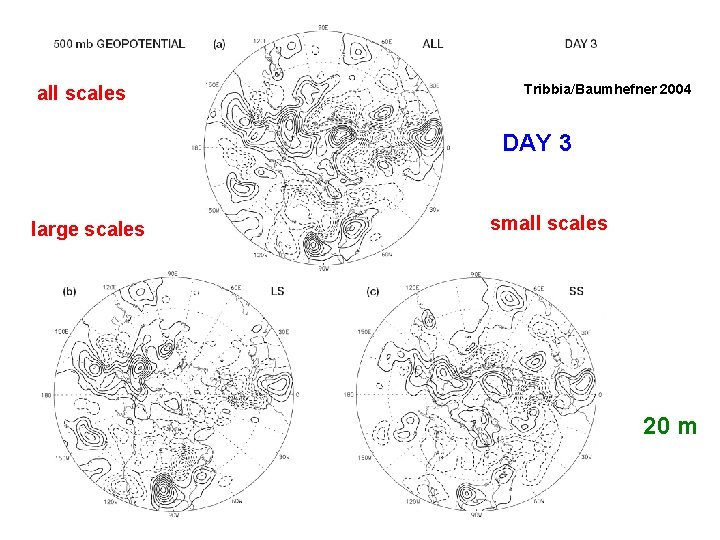 all scales Tribbia/Baumhefner 2004 DAY 3 large scales small scales 20 m 