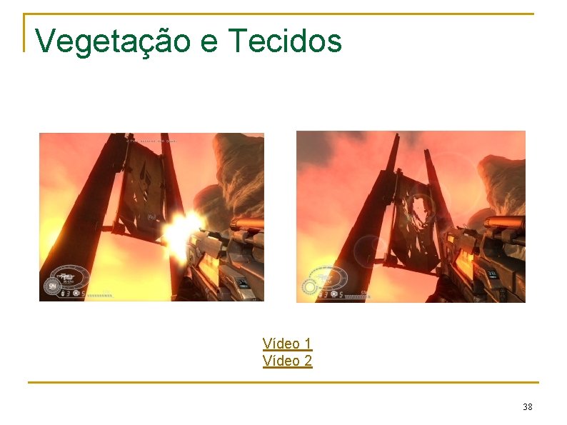 Vegetação e Tecidos Vídeo 1 Vídeo 2 38 