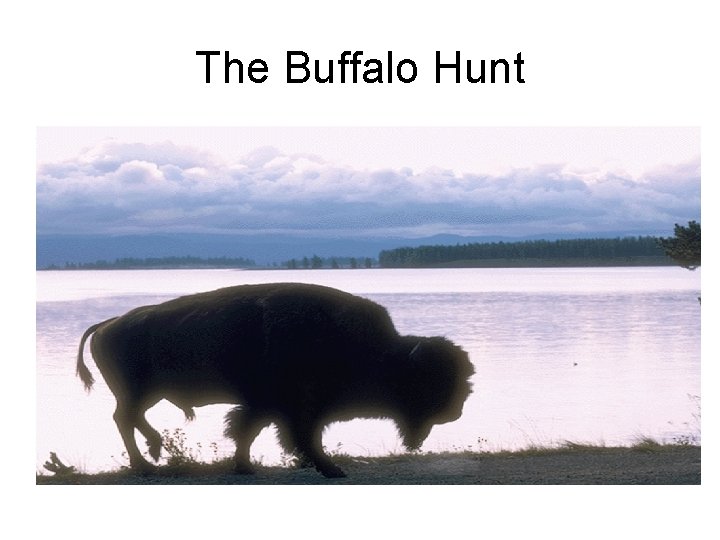 The Buffalo Hunt 