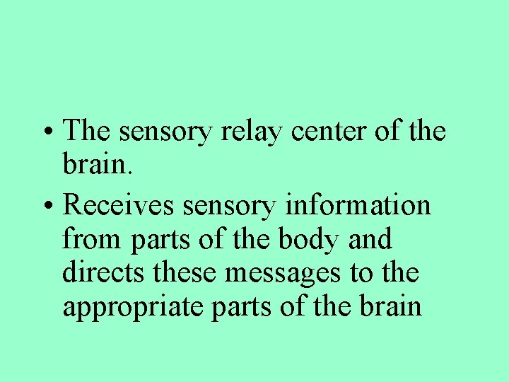  • The sensory relay center of the brain. • Receives sensory information from