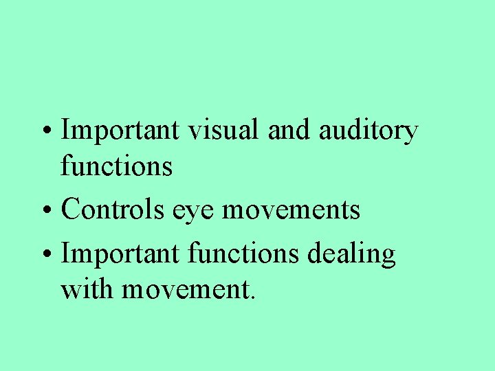  • Important visual and auditory functions • Controls eye movements • Important functions