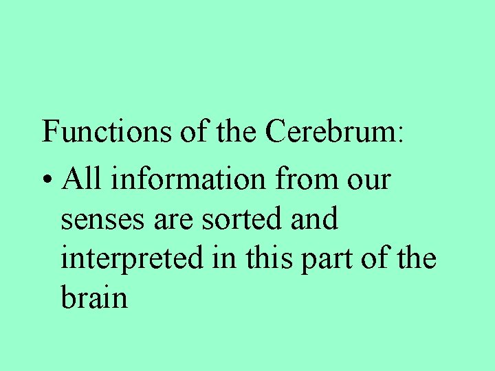 Functions of the Cerebrum: • All information from our senses are sorted and interpreted