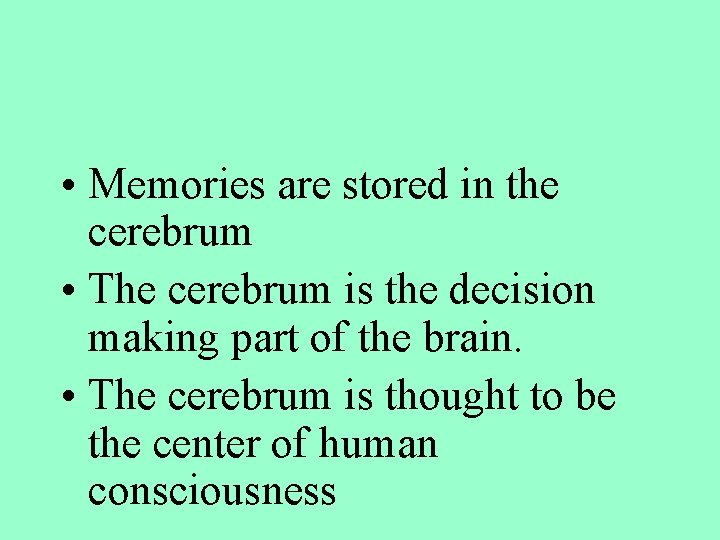  • Memories are stored in the cerebrum • The cerebrum is the decision