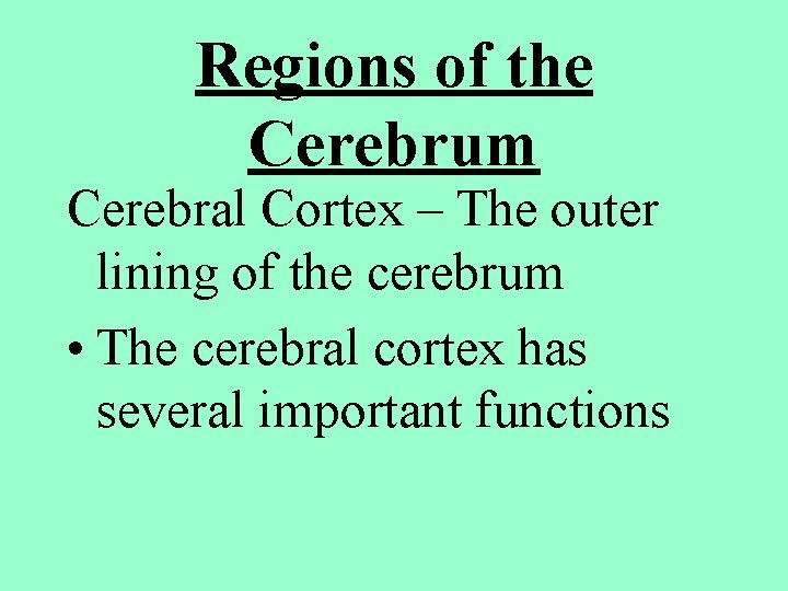 Regions of the Cerebrum Cerebral Cortex – The outer lining of the cerebrum •