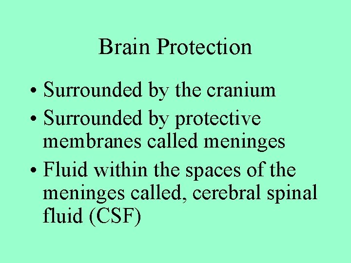 Brain Protection • Surrounded by the cranium • Surrounded by protective membranes called meninges