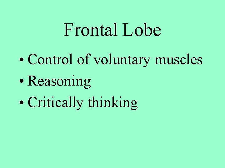 Frontal Lobe • Control of voluntary muscles • Reasoning • Critically thinking 