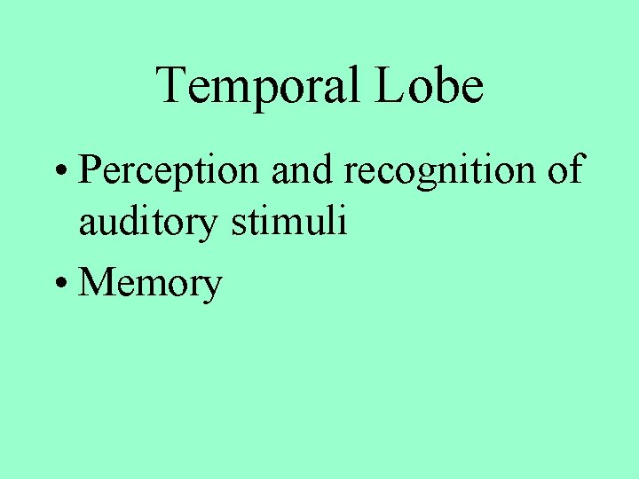 Temporal Lobe • Perception and recognition of auditory stimuli • Memory 