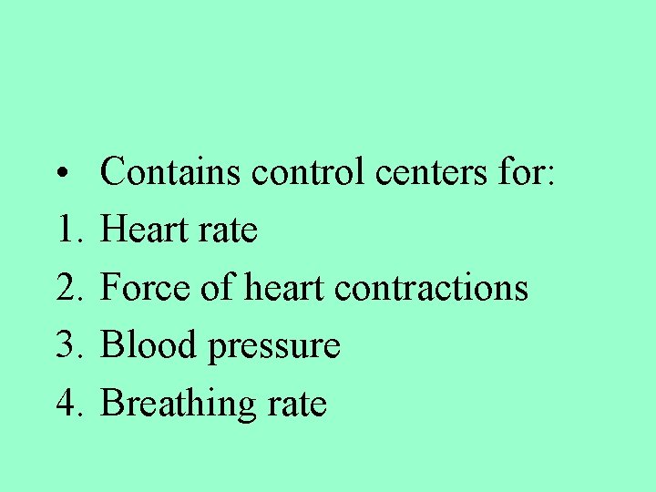  • 1. 2. 3. 4. Contains control centers for: Heart rate Force of