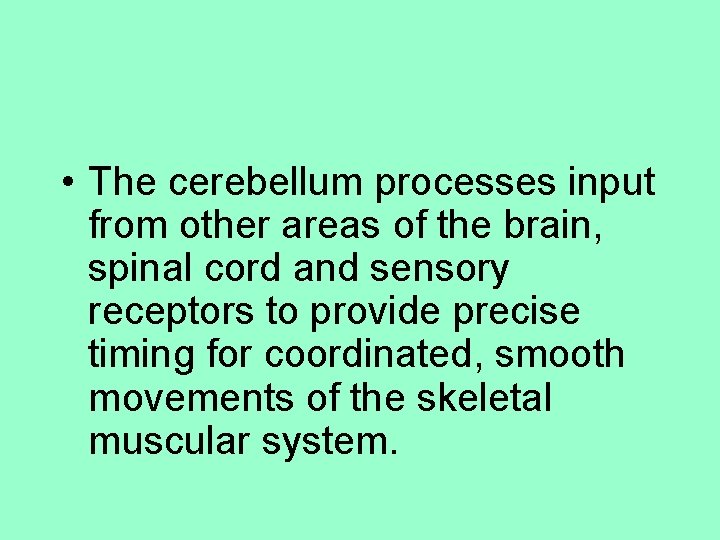  • The cerebellum processes input from other areas of the brain, spinal cord