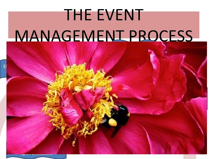 THE EVENT MANAGEMENT PROCESS During/After by all parties 5: EVALUATION 4: COORDINATION/ IMPLEMENTATION Be