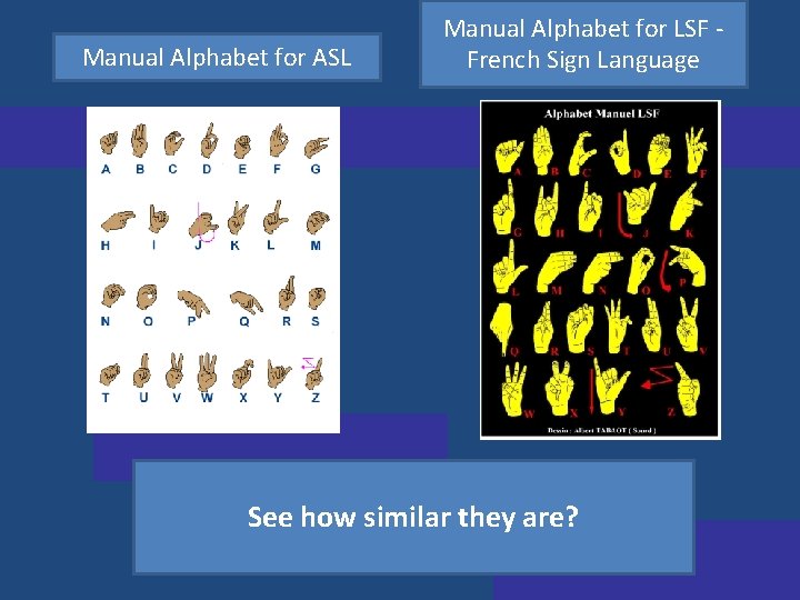 Manual Alphabet for ASL Manual Alphabet for LSF French Sign Language See how similar