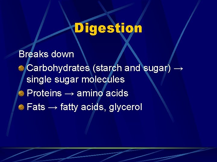 Digestion Breaks down Carbohydrates (starch and sugar) → single sugar molecules Proteins → amino