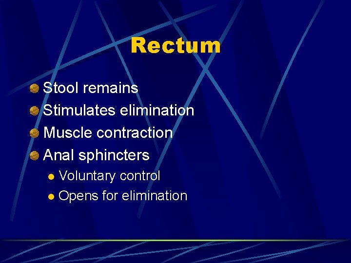 Rectum Stool remains Stimulates elimination Muscle contraction Anal sphincters Voluntary control l Opens for