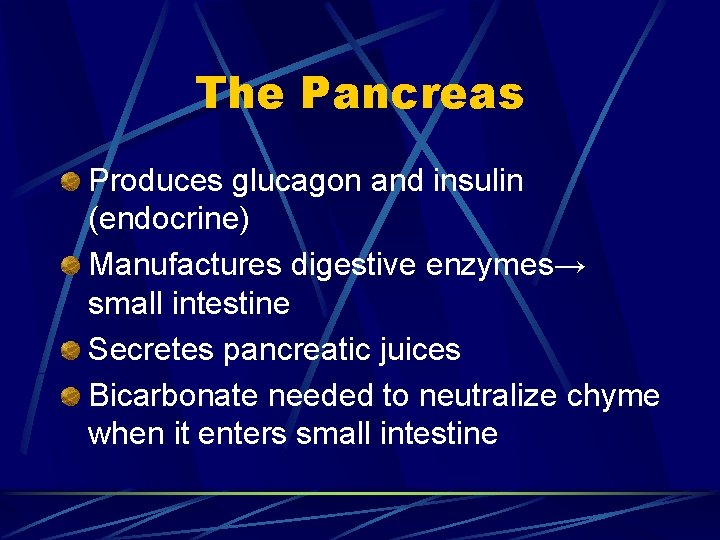 The Pancreas Produces glucagon and insulin (endocrine) Manufactures digestive enzymes→ small intestine Secretes pancreatic