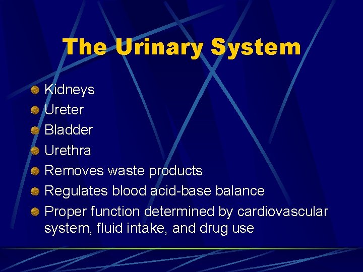 The Urinary System Kidneys Ureter Bladder Urethra Removes waste products Regulates blood acid-base balance