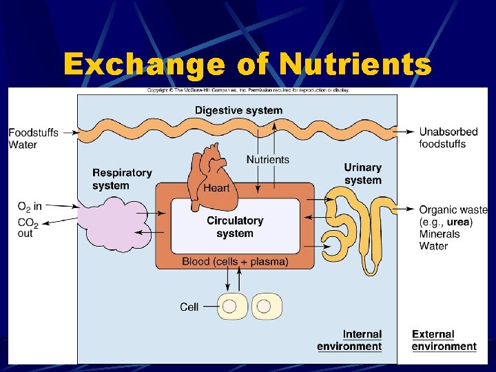 Exchange of Nutrients Insert Fig. 3 -4 