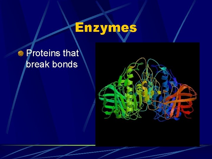 Digestion and Absorption Digestion Breaks down Carbohydrates starch