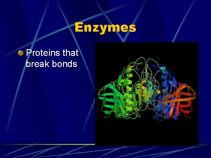 Enzymes Proteins that break bonds 