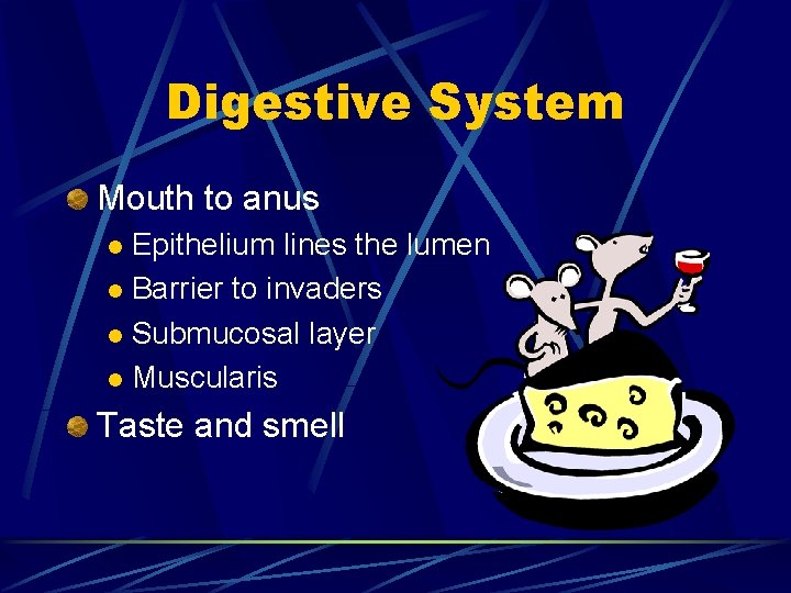 Digestive System Mouth to anus Epithelium lines the lumen l Barrier to invaders l