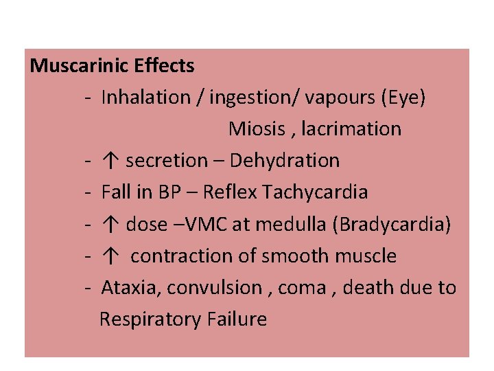 Muscarinic Effects - Inhalation / ingestion/ vapours (Eye) Miosis , lacrimation - ↑ secretion