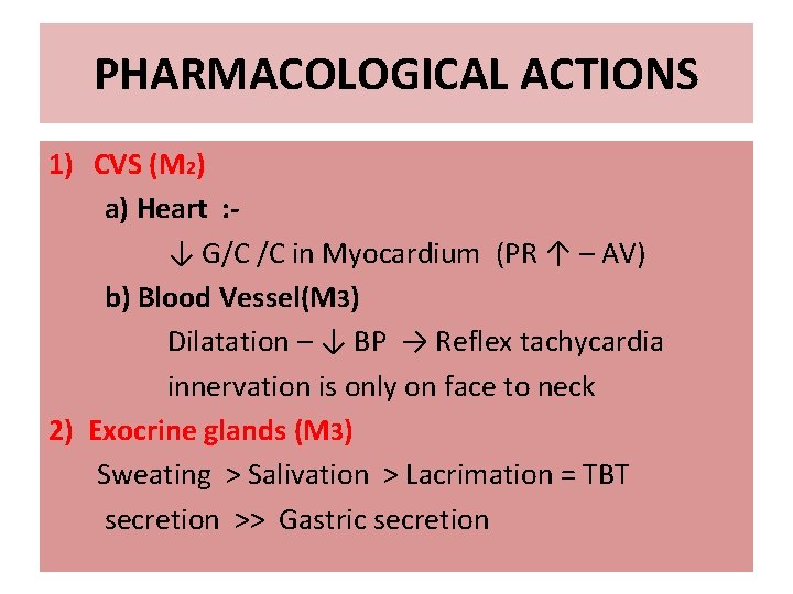 PHARMACOLOGICAL ACTIONS 1) CVS (M 2) a) Heart : ↓ G/C /C in Myocardium