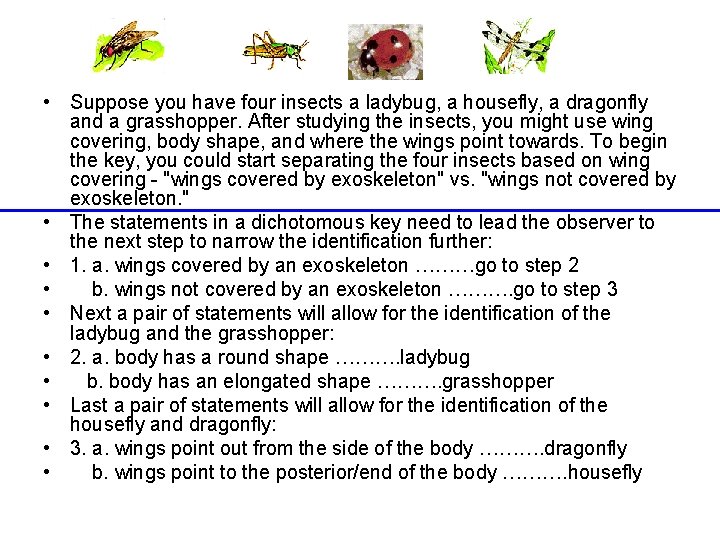 • Suppose you have four insects a ladybug, a housefly, a dragonfly and