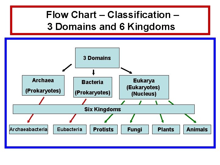 Flow Chart – Classification – 3 Domains and 6 Kingdoms 3 Domains Archaea Bacteria