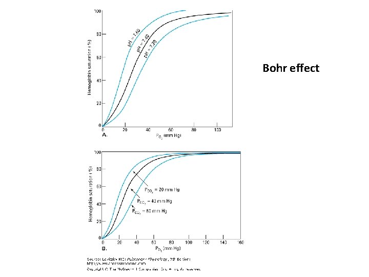 Bohr effect 