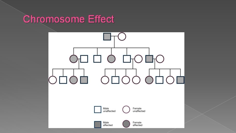 Chromosome Effect 