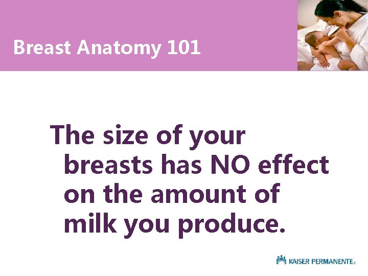 Breast Anatomy 101 The size of your breasts has NO effect on the amount
