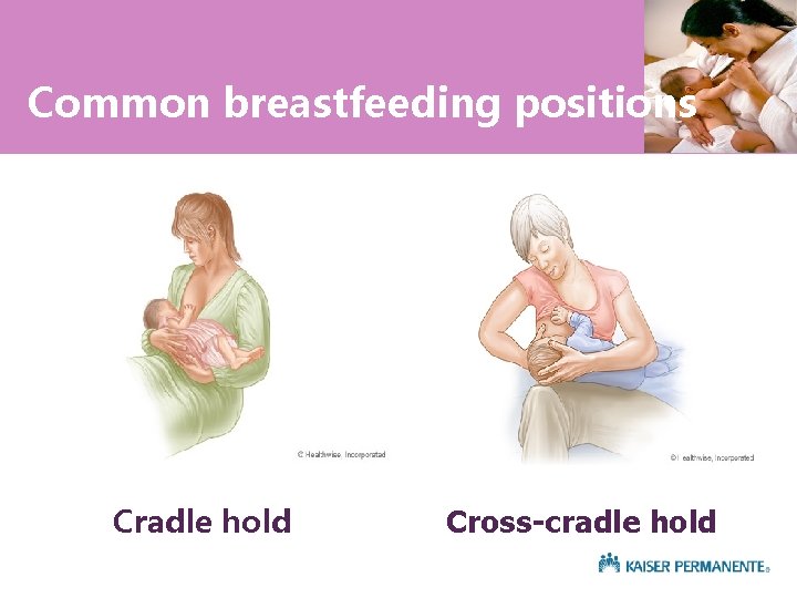 Common breastfeeding positions Cradle hold Cross-cradle hold 