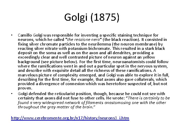Golgi (1875) • • Camillo Golgi was responsible for inventing a specific staining technique