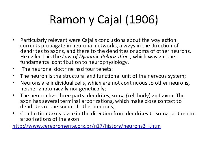 Ramon y Cajal (1906) • Particularly relevant were Cajal s conclusions about the way