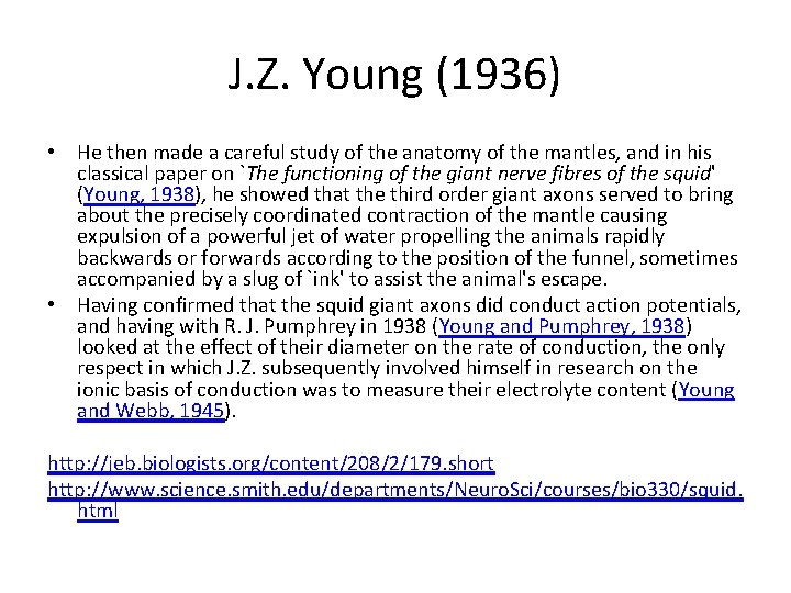J. Z. Young (1936) • He then made a careful study of the anatomy