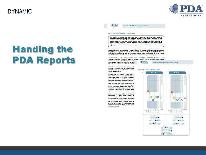 DYNAMIC Handing the PDA Reports 