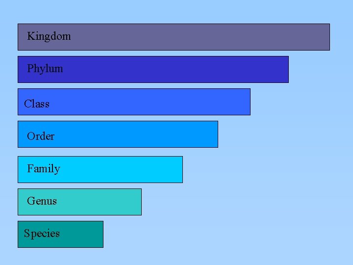 Kingdom Phylum Class Order Family Genus Species 