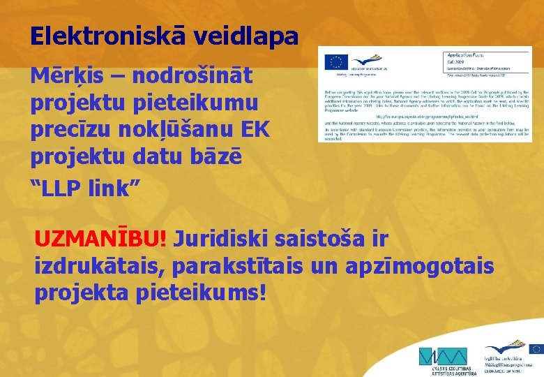 Elektroniskā veidlapa Mērķis – nodrošināt projektu pieteikumu precīzu nokļūšanu EK projektu datu bāzē “LLP