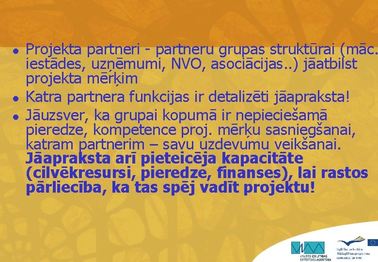 l l l Projekta partneri - partneru grupas struktūrai (māc. iestādes, uzņēmumi, NVO, asociācijas.