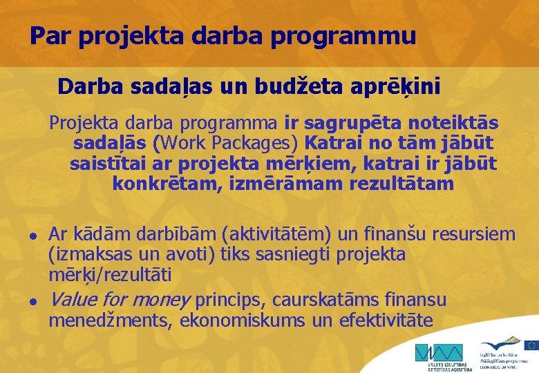 Par projekta darba programmu Darba sadaļas un budžeta aprēķini Projekta darba programma ir sagrupēta