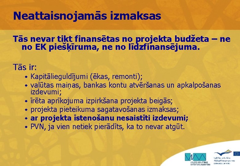 Neattaisnojamās izmaksas Tās nevar tikt finansētas no projekta budžeta – ne no EK piešķīruma,