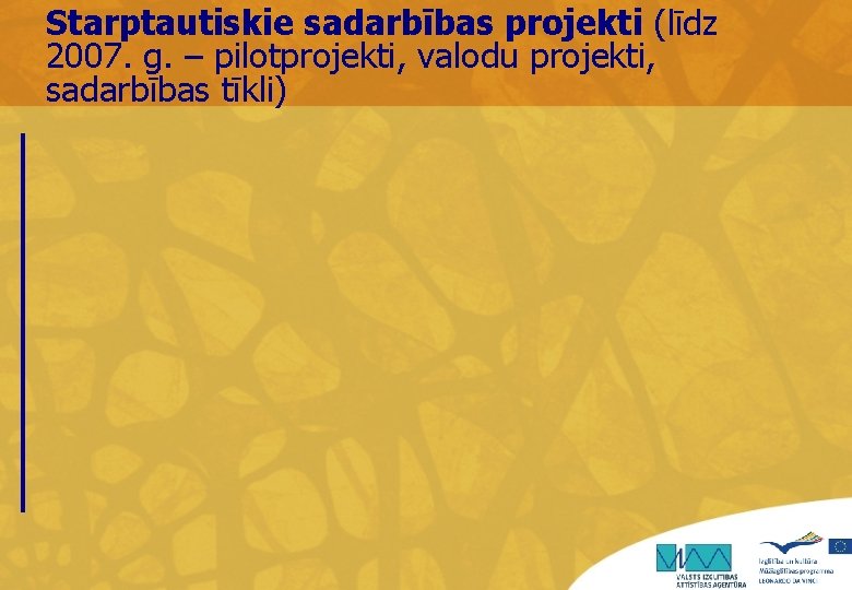 Starptautiskie sadarbības projekti (līdz 2007. g. – pilotprojekti, valodu projekti, sadarbības tīkli) 