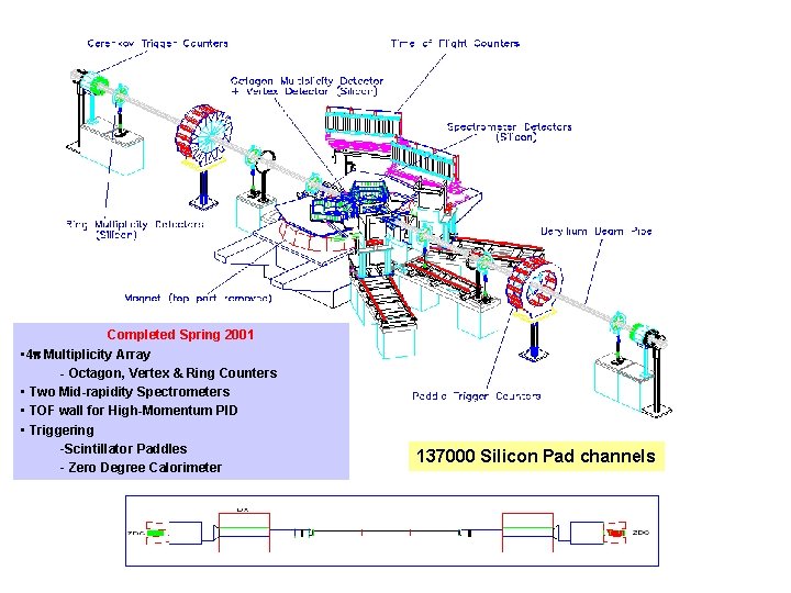 Completed Spring 2001 • 4 p Multiplicity Array - Octagon, Vertex & Ring Counters