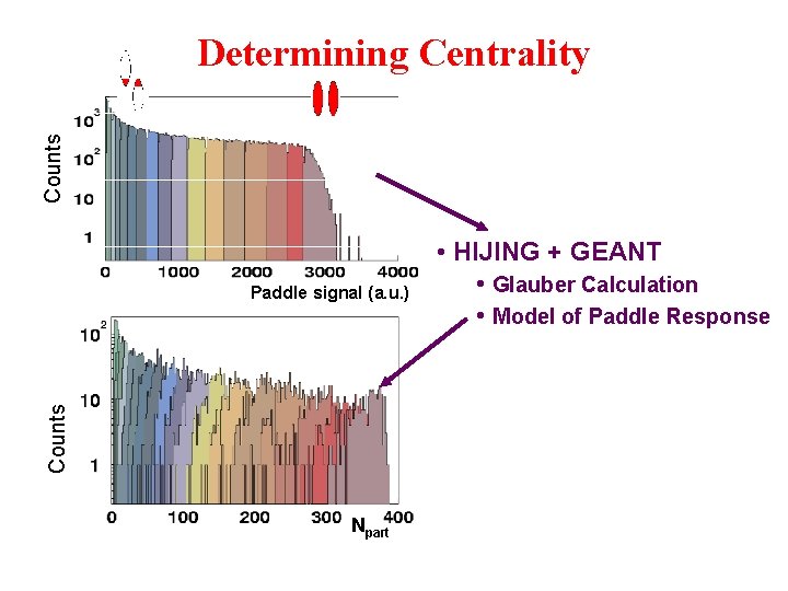 Counts Determining Centrality Counts Paddle signal (a. u. ) Npart • HIJING + GEANT