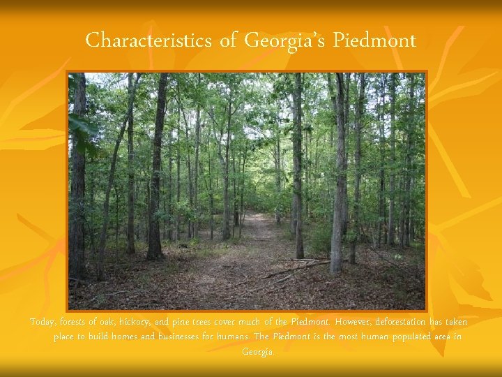 Characteristics of Georgia’s Piedmont Today, forests of oak, hickory, and pine trees cover much