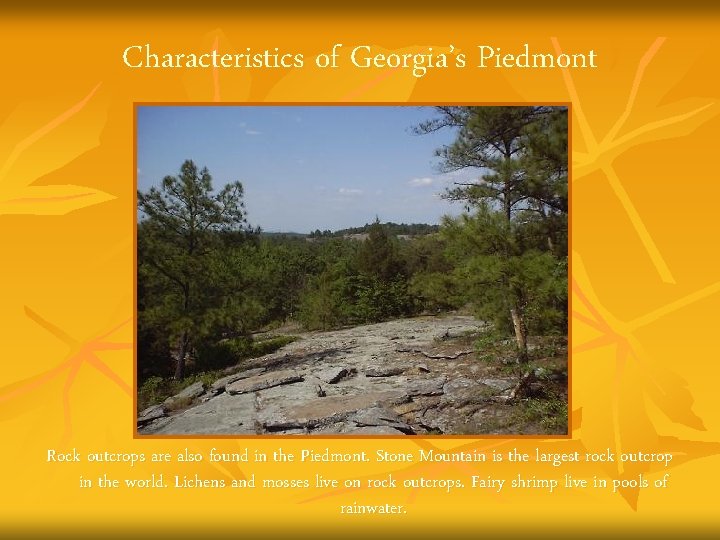 Characteristics of Georgia’s Piedmont Rock outcrops are also found in the Piedmont. Stone Mountain