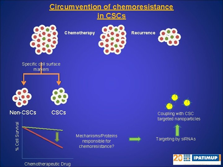 Circumvention of chemoresistance in CSCs Chemotherapy Recurrence Specific cell surface markers CSCs % Cell