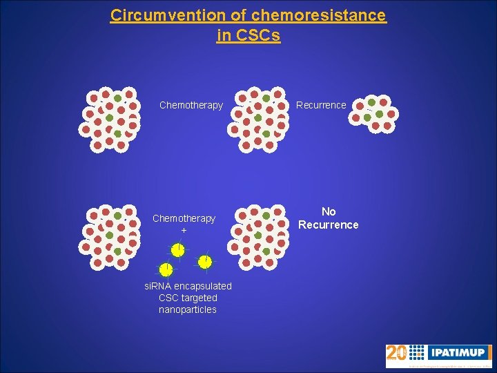 Circumvention of chemoresistance in CSCs Chemotherapy + si. RNA encapsulated CSC targeted nanoparticles Recurrence