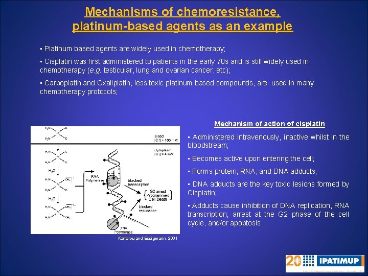 Mechanisms of chemoresistance, platinum-based agents as an example • Platinum based agents are widely